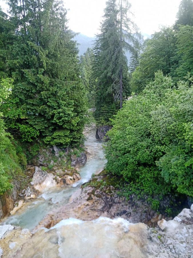 Gorski Biser Mojstrana Dış mekan fotoğraf