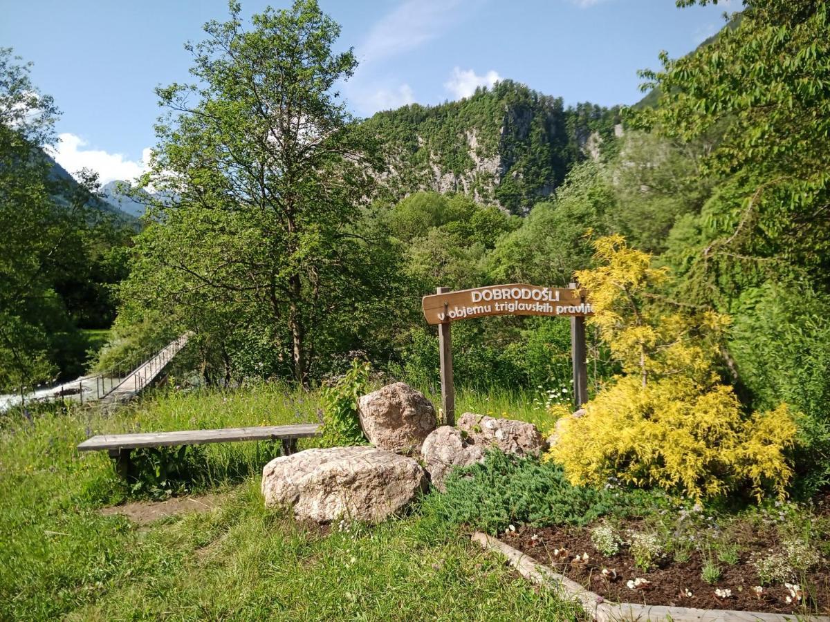 Gorski Biser Mojstrana Dış mekan fotoğraf