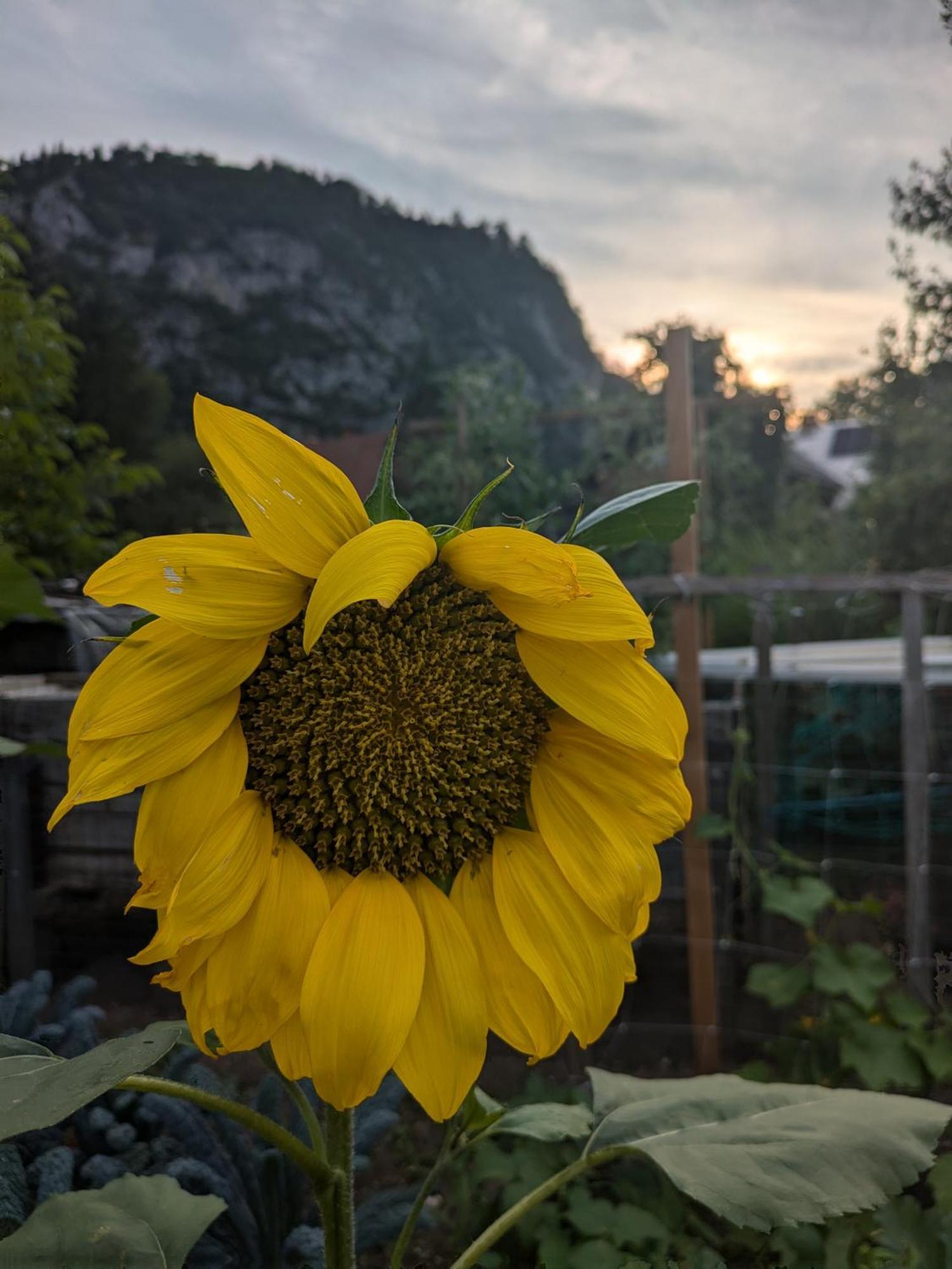 Gorski Biser Mojstrana Dış mekan fotoğraf